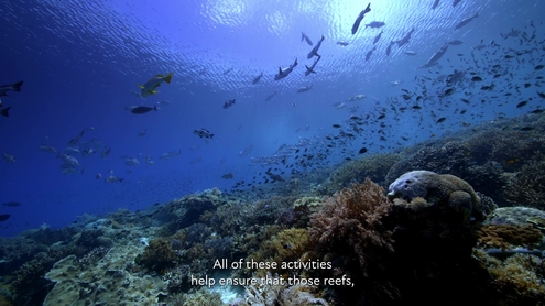 Revive Our Ocean - 2025 UN Ocean Conference (Nice, France)