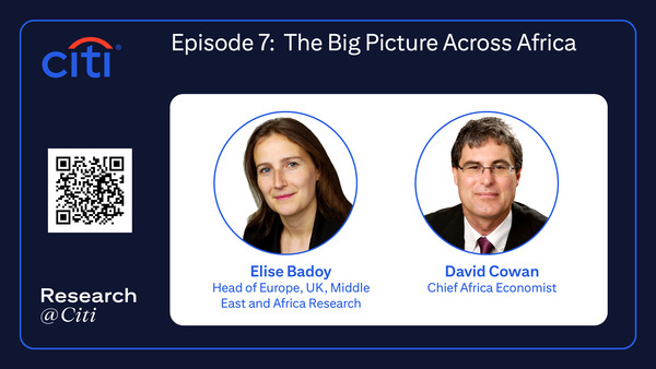 Episode 7: The Big Picture Across Africa