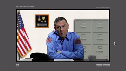 Thumbnail for Kaltura Videos in Articulate Storyline by Strayer University