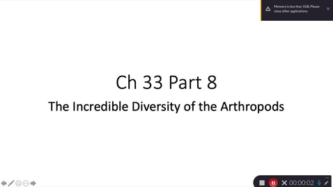 Thumbnail for Ch 33 Part 8 The Arthropods