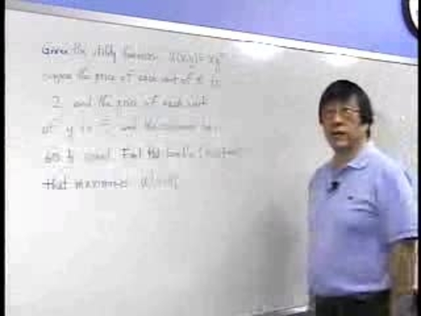 Chapter 4.5: Economic Applications - 06) Utility Function Example episode artwork