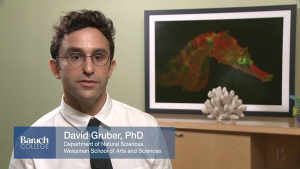Faculty Profile : David Gruber episode artwork