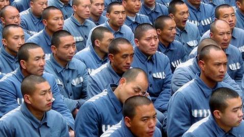 Thumbnail for Controversial Organ Harvesting in China