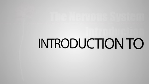 Thumbnail for The Nervous System In 9 Minutes