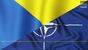 Should NATO Admit Ukraine?, A Debate