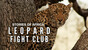 Stories Of Africa, Leopard Fight Club