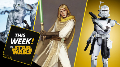 Star Wars The High Republic Characters Revealed Your Cute Pets And More Starwars Com