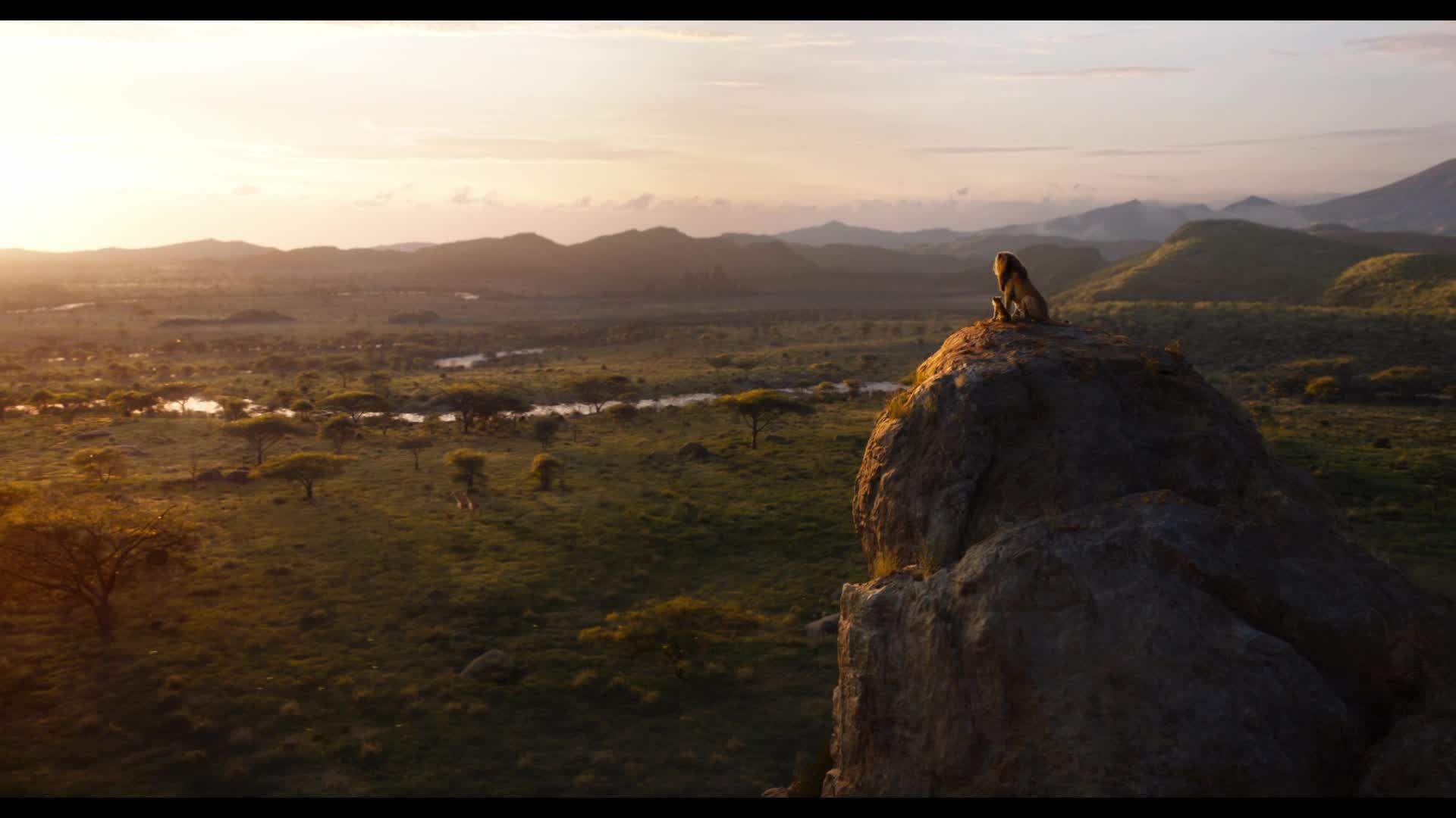 The Lion King Protect The Pride Disney Partners