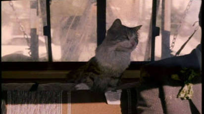 That Darn Cat Trailer Disney Video