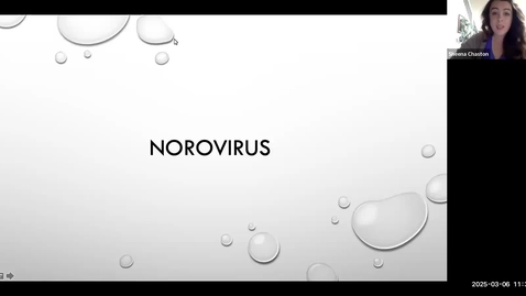 Thumbnail for Norovirus