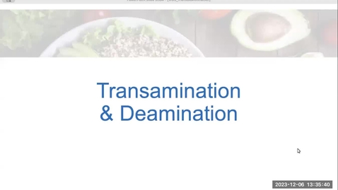Thumbnail for Transamination &amp; Deamination