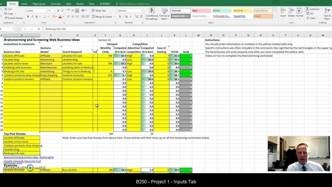 Thumbnail for B 250 Project 1 Input Tab
