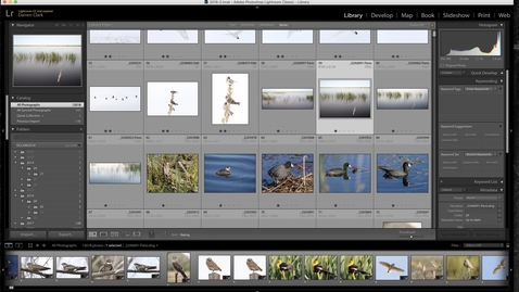 Thumbnail for 02 Lightroom - Importing