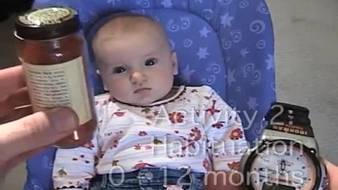 Thumbnail for Infant Looking Time Habituation.