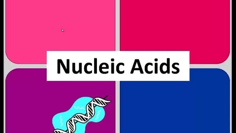 Thumbnail for BIO180 Topic 11 - Nucleic Acids - Part 1