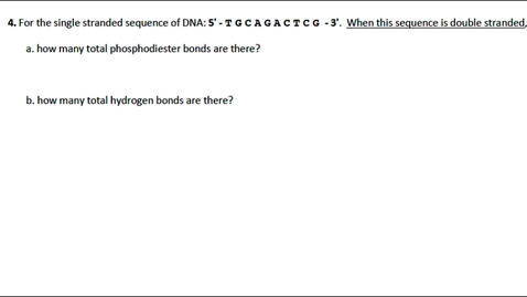 Thumbnail for DNA Structure Question 4