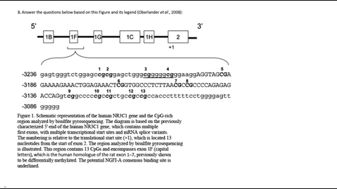 Thumbnail for entry Epigenetics Question 3