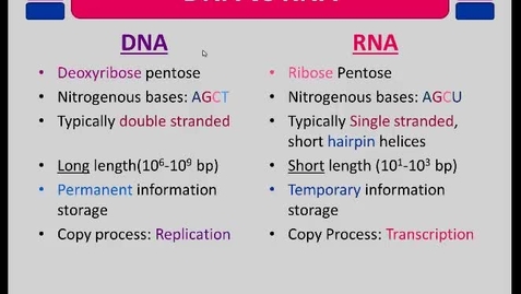 Thumbnail for BIO180 Topic 11 - Nucleic Acids - Part 4