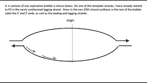 Thumbnail for DNA Replication Question 2