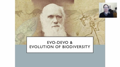 Thumbnail for W11 Summary