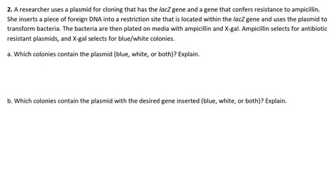 Thumbnail for PCR and Gene Cloning #3