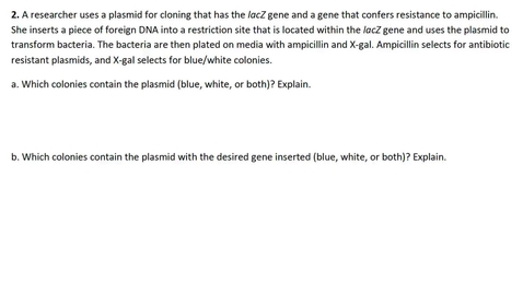 Thumbnail for entry PCR and Gene Cloning #3