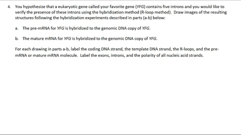 Thumbnail for entry RNA Modifications Question 4
