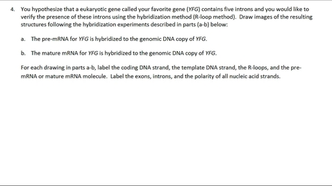 Thumbnail for RNA Modifications Question 4