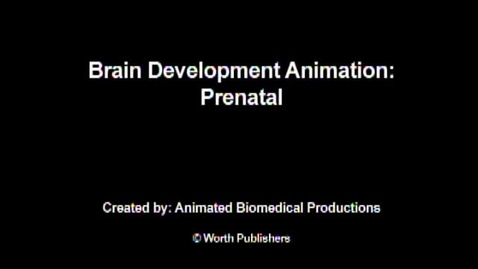 Thumbnail for CHILD 210 Prenatal Animation