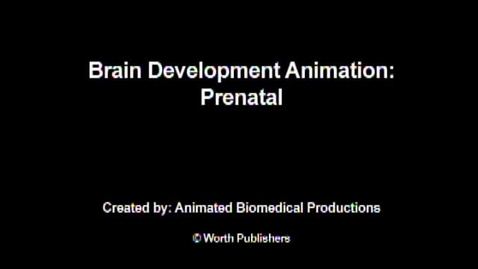 Thumbnail for entry CHILD 210 Prenatal Animation