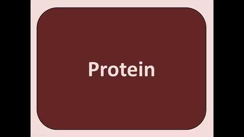 Thumbnail for BIO180 Topic 12 - Proteins - Part 1