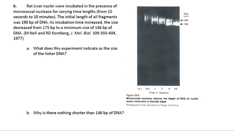 Thumbnail for Chromosome Compaction Question 6