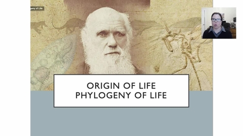 Thumbnail for W10 Summary