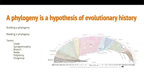 Thumbnail for entry BIO 475 - Building Phylogenies