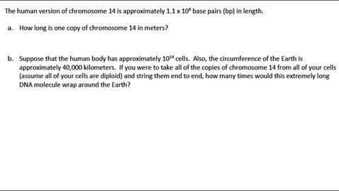 Thumbnail for DNA Structure Question 5