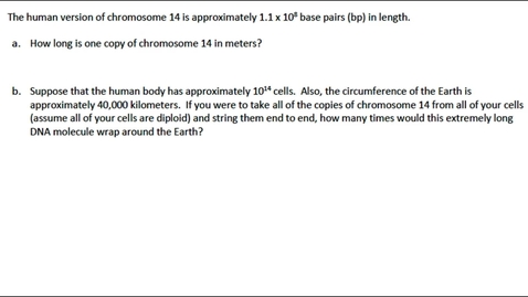 Thumbnail for entry DNA Structure Question 5