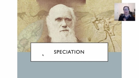 Thumbnail for W09 Summary