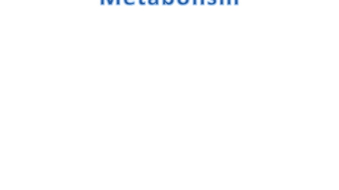 Thumbnail for Metabolism Prevideo 1