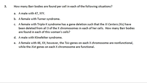 Thumbnail for Chromosome Compaction Question 3