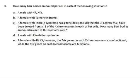 Thumbnail for entry Chromosome Compaction Question 3