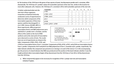 Thumbnail for Transcription Question 6