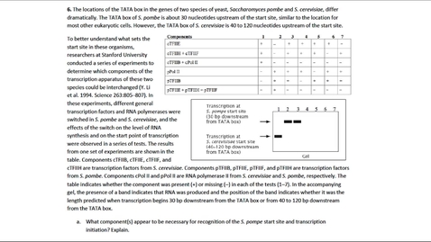 Thumbnail for entry Transcription Question 6