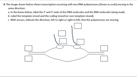 Thumbnail for Transcription Question 4