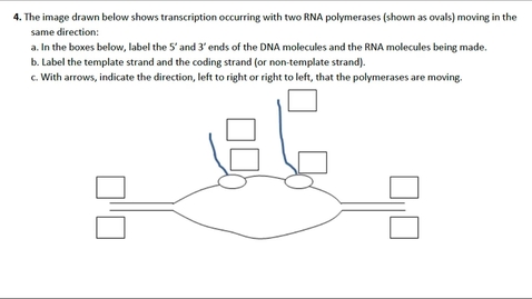 Thumbnail for entry Transcription Question 4