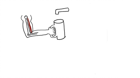 Thumbnail for Movement 4:  Gamma motor neurons and muscle spindles