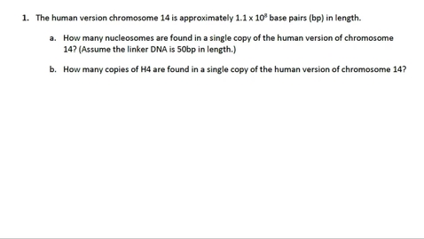 Thumbnail for entry Chromosome Compaction Question 1