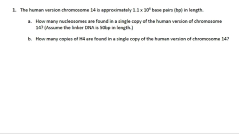 Thumbnail for Chromosome Compaction Question 1