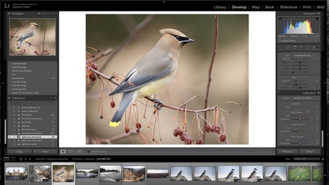 Thumbnail for 10 Lightroom - Advanced Sharpening