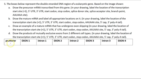 Thumbnail for RNA Modifications Question 5