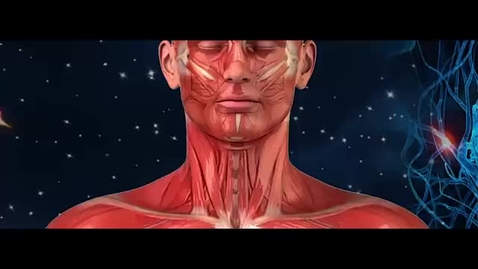 Thumbnail for Calculate Lung Volumes